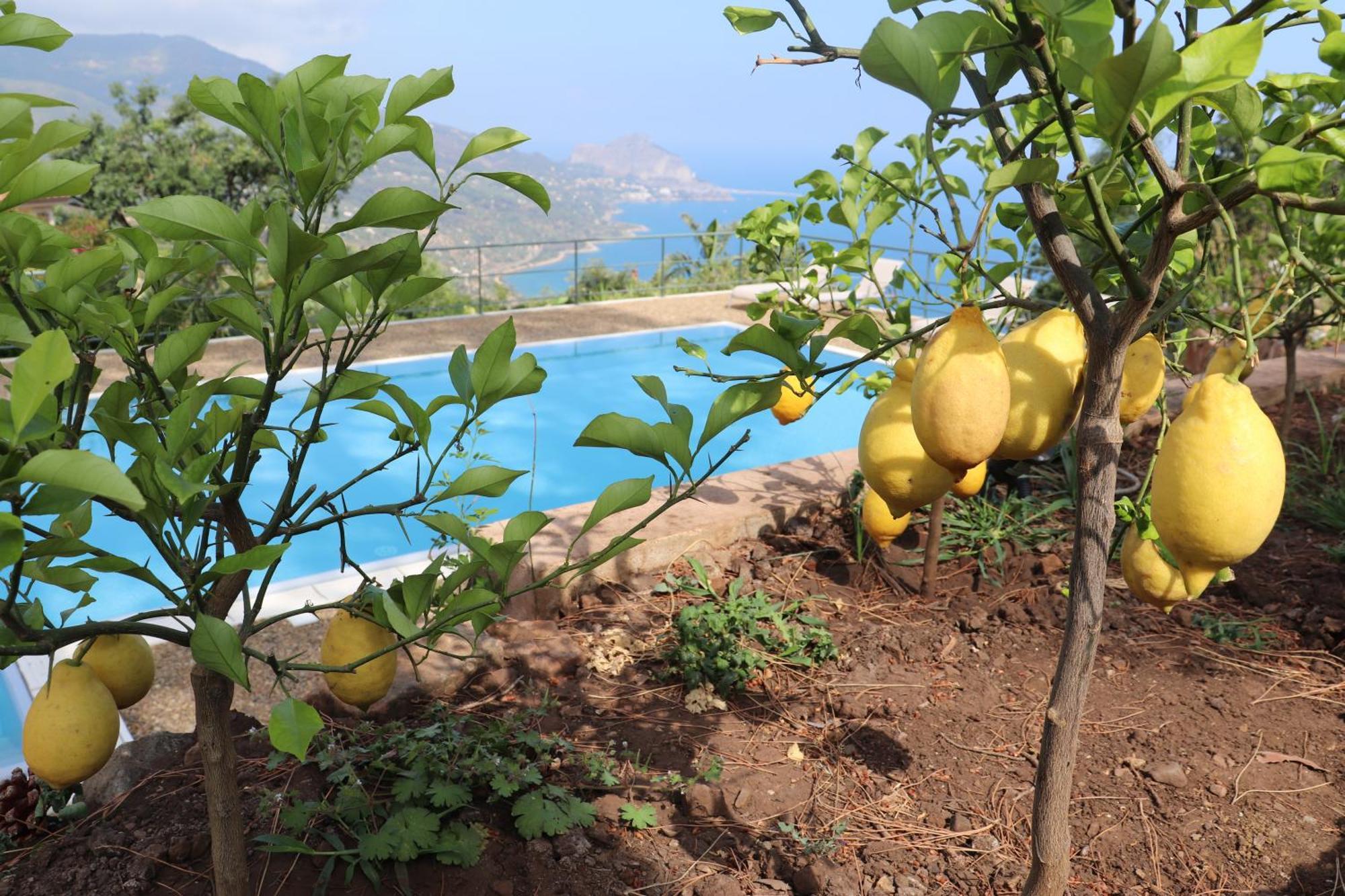 Cefalu Nest Pool House Terrace Sea View מראה חיצוני תמונה